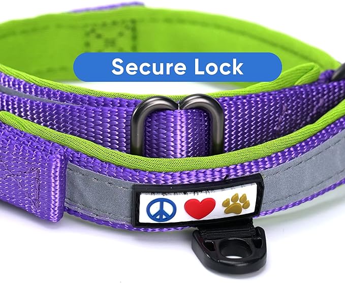 Pawtitas Lumberjack Padded Martingale Collar for Dogs | Soft Neoprene Dog Collar for Your pet's Comfort Made with Reflective Band for Maximum Visibility | Fits Small and Large Pets - Medium Purple