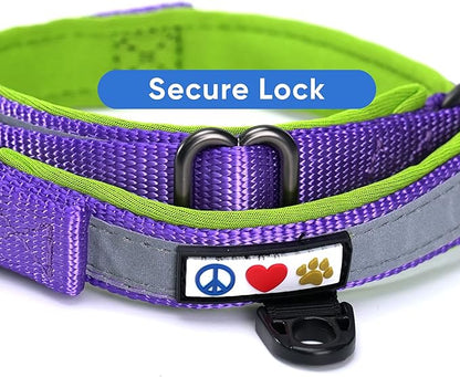 Pawtitas Lumberjack Padded Martingale Collar for Dogs | Soft Neoprene Dog Collar for Your pet's Comfort Made with Reflective Band for Maximum Visibility | Fits Small and Large Pets - XXS Purple