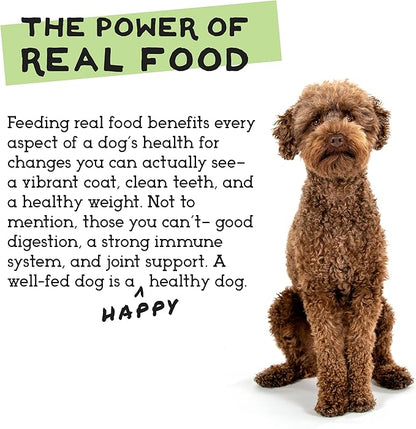Simple Food Project - Beef & Salmon Recipe - Freeze Dried Raw Food for Dogs - 48oz