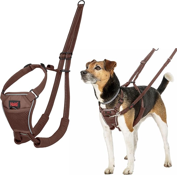 Halti No Pull Harness - Stop Your Dog Pulling on The Leash. Adjustable, Lightweight and Easy to Use. Reflective Dog Training Harness for Toy and Small Dogs (Size XS, Deep Walnut)