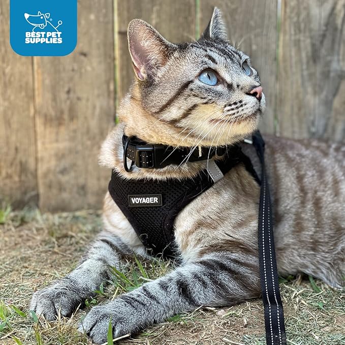 Best Pet Supplies - All Weather Mesh / Plush, Reflective, No Pull Harness for Small, Medium Dogs, Cats - Secure with Hook & Loop Fastener, Buckle, Double D-Rings - Black/Black Trim, XS