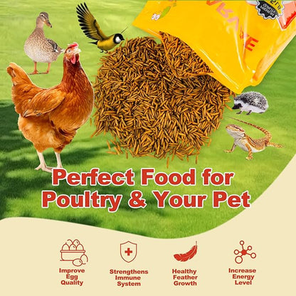 10LB Dried Black Soldier Fly Larvae, 85X More Calcium Chicken Feed Than Mealworms, 100% Natural Non-GMO BSF, Treat for Chickens, Ducks, Laying Hens, Birds