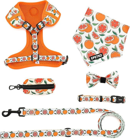 Small Dog Harness and Leash Set of 6, No Pull Soft Lightweight Mesh Puppy Harness， Adjustable Cute Floral Pattern Pet Harness for Small Medium Dogs (Orange, M)