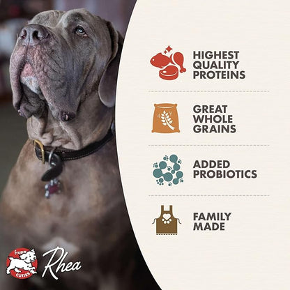 Fromm Classic Adult Large & Giant Breed Dog Food - Premium Dry Dog Food for Large & Giant Breeds - Chicken Recipe - 15 lb