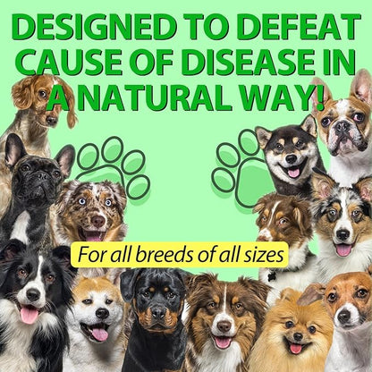 Antibiotic for Dogs, Natural Dog Antibiotic Supplement for Urinary Tract Support, Digestion & Skin Health with Herbal Blend, Dog Supplies for Overall Dogs Health, Bacon Flavored Liquid - 60ml / 2.02oz