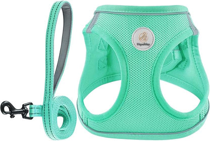 Hipubby Dog Harness and Leash Set, No Pull Soft Mesh Puppy Harness for Small Medium Dogs, Cats - Step in Reflective Breathable Lightweight Vest Harness for Walking, Training - Green, L