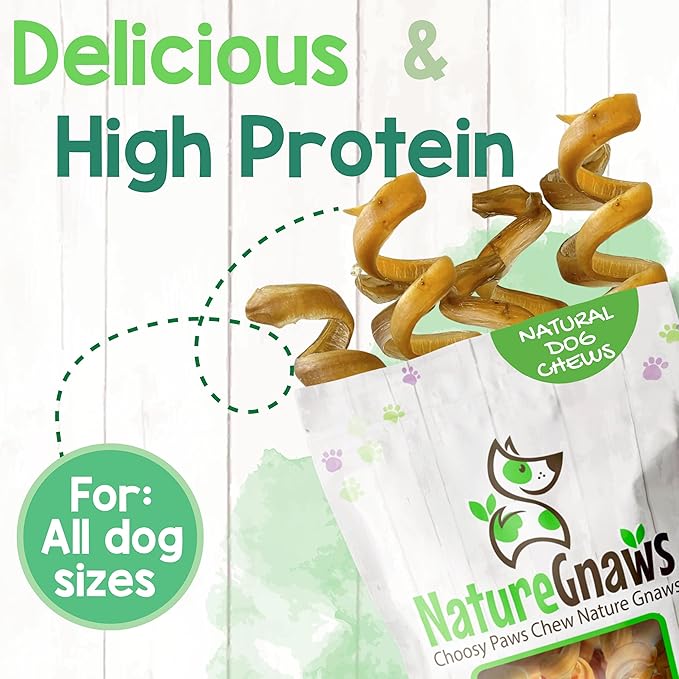 Nature Gnaws Bully Stick Springs for Dogs 7-8" (6 Count) - Long Lasting for Aggressive Chewers - Natural Curly Beef Dog Chew Bones - Rawhide Free