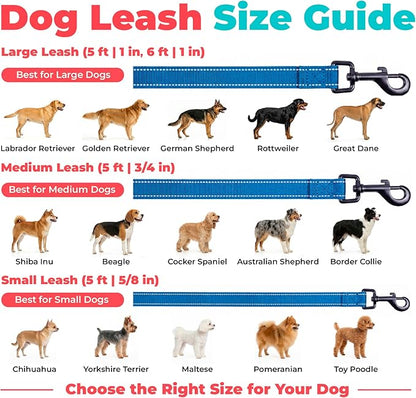 Best Pet Supplies Voyager Reflective Dog Leash or Collar with Neoprene Handle, for Small, Medium, and Large Breed Puppies, Cute and Heavy Duty for Walking, Running and Training - Royal Blue (Leash), L