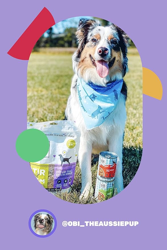 I and Love and You Wet Dog Food - Lambarama Stew - Lamb Recipe, Grain Free, Filler Free 13oz Can, 12pk