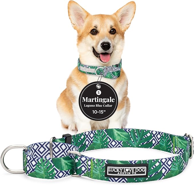 Lucky Love Dog Martingale Collar, Premium No Slip Martingale Collar for Small Boy Dogs, Great for Whippets, Greyhounds, and More (Small, Blue Laguna)