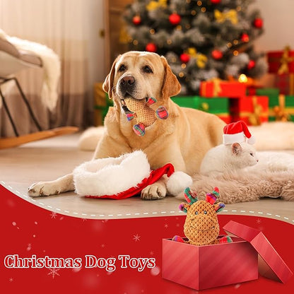 Squeaky Dog Toys, Stuffed Large Dog Toys to Keep Them Busy, Interactive Plush Chew Toys with Crinkle Paper, Tough Pet Animal Toys for Small Medium Large (Red B)