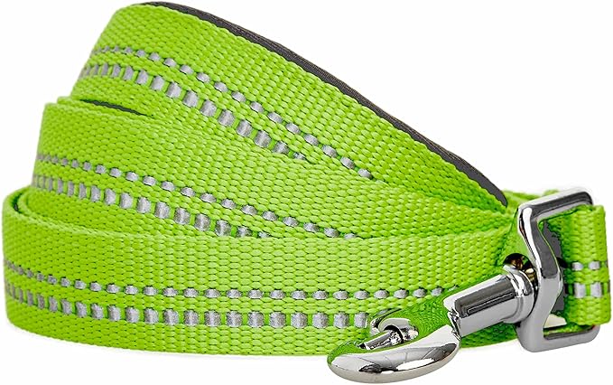 Blueberry Pet 3M Reflective Pastel Color Dog Leash with Soft & Comfortable Handle, 5 ft x 5/8", Green Flash, Small, Leashes for Dogs