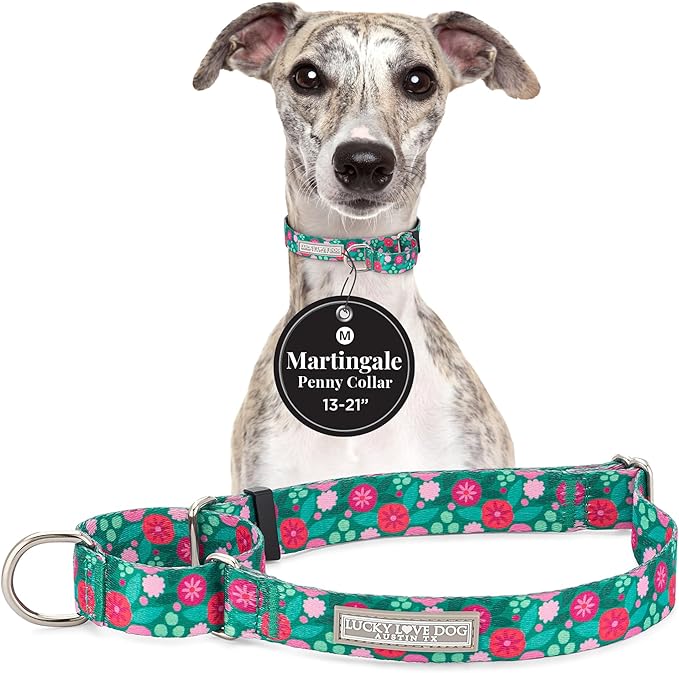 Lucky Love Dog Martingale Dog Collar - Adjustable, No-Slip, Durable, & Soft Webbing Collar for Male and Female Dogs Ideal for Training & Walking - Penny, Medium