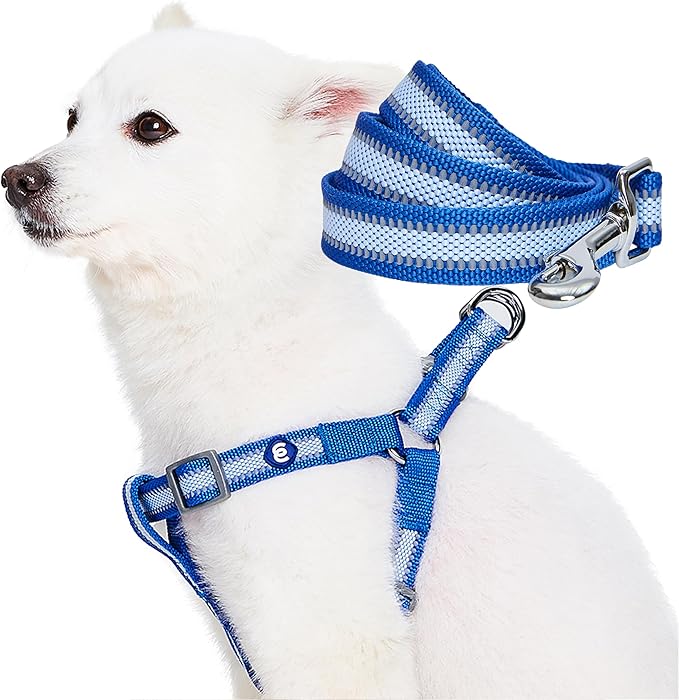 Blueberry Pet Essentials Reflective Back to Basics Matching Dog Harness and Leash Set, Navy Blue, Adjustable Harness with 5 ft Leash for Medium Dogs