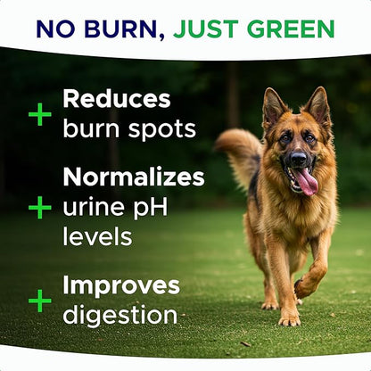 Green Grass Dog Chews - Pee Lawn Spot Saver - Grass Restore Treats - Dog Urine Neutralizer Solution for Grass Burn Spots - Made in USA - 120 Chews