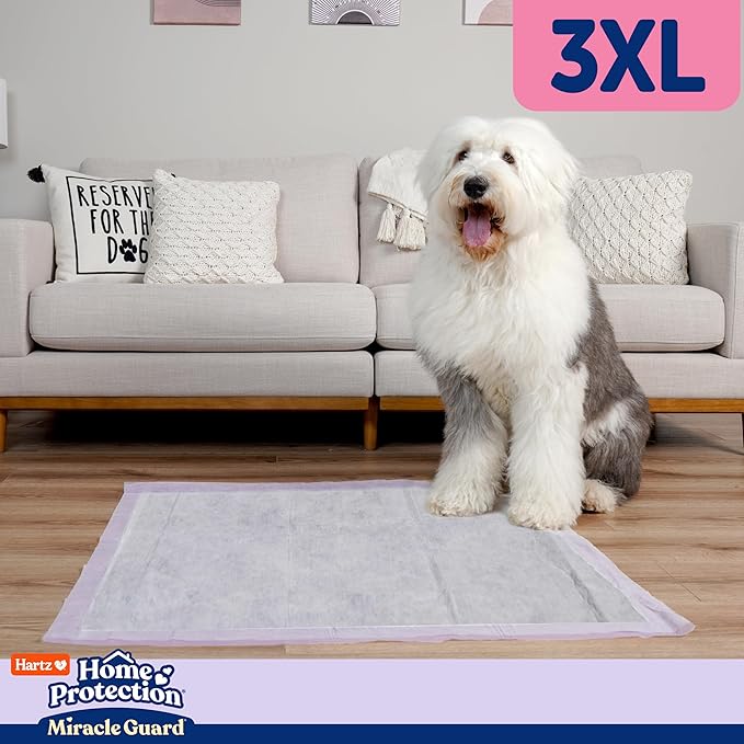 Hartz Miracle Guard Dog and Puppy Dog Pads Max Absorbency 24 Hour Use Odor Eliminating Lavender Scented No Leaks, 3XL Size 20 Count