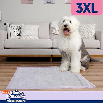 Hartz Miracle Guard Dog and Puppy Dog Pads Max Absorbency 24 Hour Use Odor Eliminating Lavender Scented No Leaks, 3XL Size 20 Count