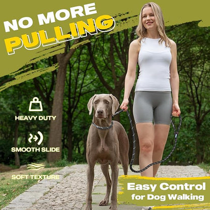 Fida Durable Slip Lead Dog Leash Bulk Pack of 5, Heavy Duty 1/2" x 6 FT Comfortable Strong Rope Slip Lead for Large, Medium & Small Dogs No Pulling Pet Training Leash with Highly Reflective (Black)