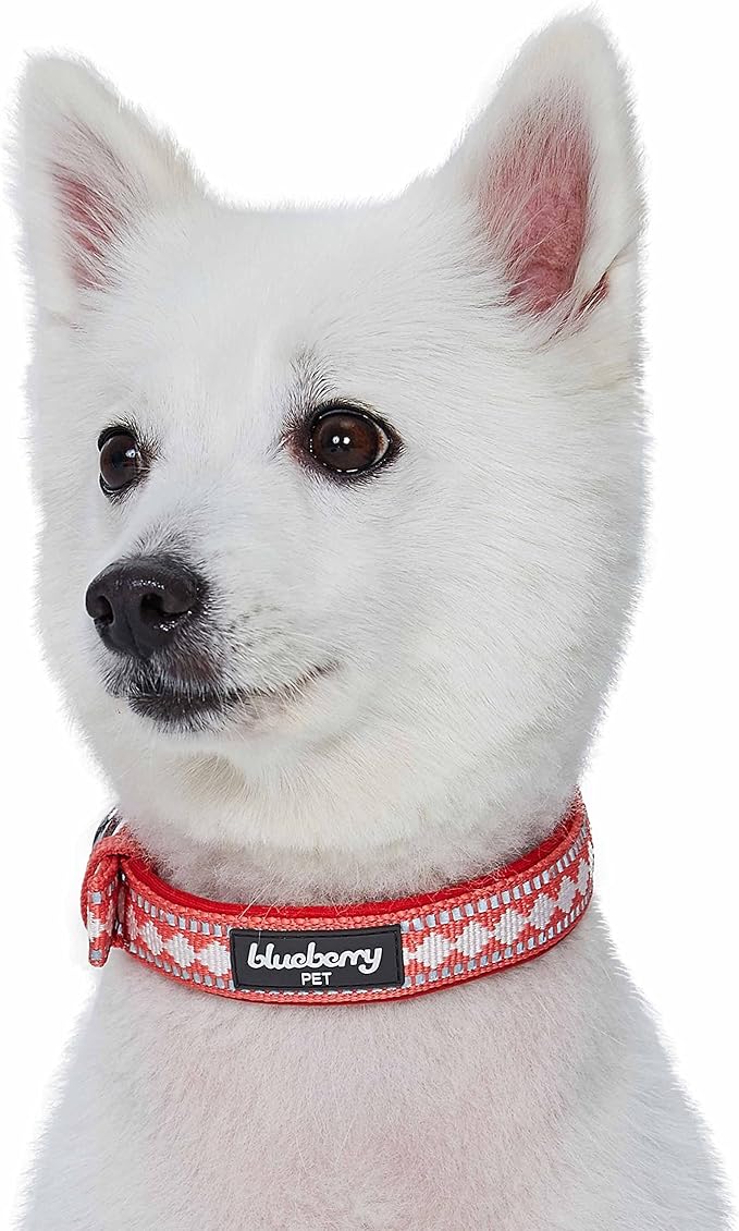 Blueberry Pet Reflective Jacquard Dog Collar with Neoprene Padding & Metal Buckle | Soft & Adjustable Safety Collar - Coral, Neck 17-20.5", for Large Breed