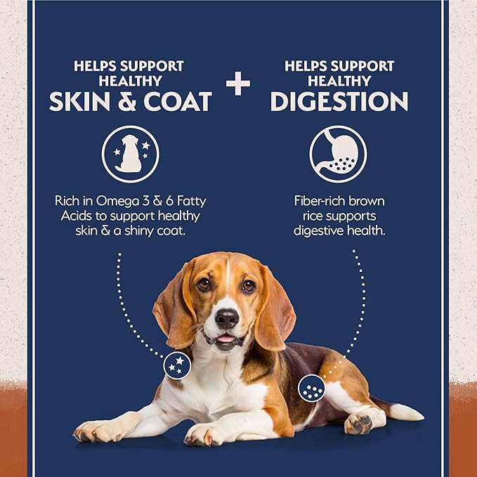 Natural Balance Limited Ingredient Adult Dry Dog Food with Healthy Grains, Reserve Duck & Brown Rice Recipe, 22 Pound (Pack of 1)