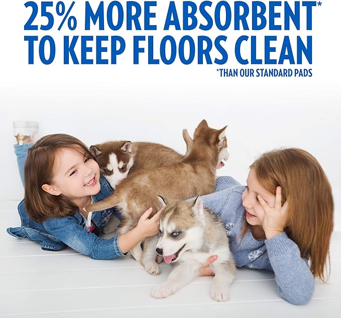 OUT! Heavy Duty XXL Dog Pads - Absorbent Pet Training and Puppy Pads - 26 x 30 in - 30 Count,White (Pack of 2)
