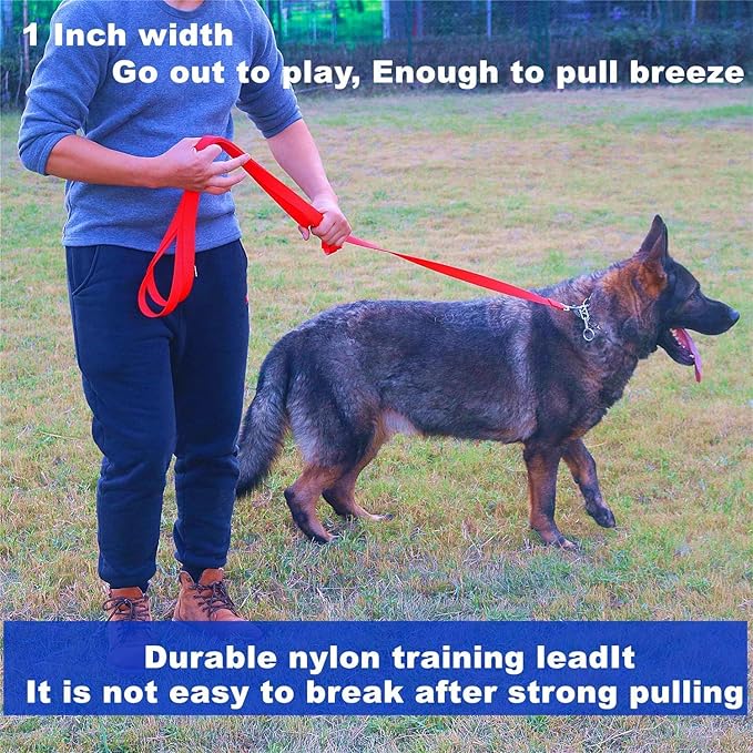 Strong Durable Nylon Dog Training Leash, 1 Inch Wide Traction Rope, 10 ft Long, for Small and Medium Dog (Mint Blue, 10 Feet)