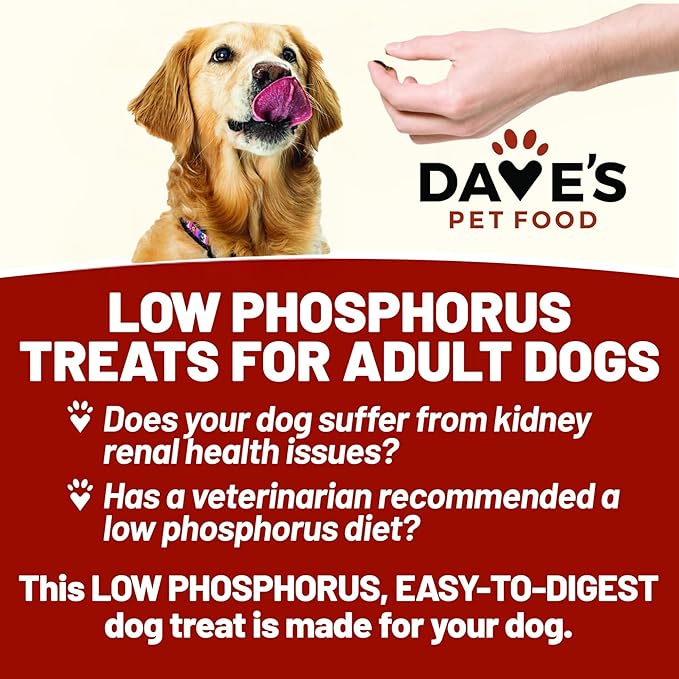 Dave's Pet Food Kidney Dog Treat for Renal Diet, Semi-Moist Sweet Potato Treats, Low Phosphorus Chewy Treats, Kidney Support for Dogs, Complements Friendly Dog Food (2 Pack)