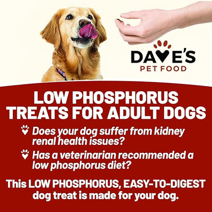 Dave's Pet Food Kidney Dog Treat for Renal Diet, Semi-Moist Sweet Potato Treats, Low Phosphorus Chewy Treats, Kidney Support for Dogs, Complements Friendly Dog Food (2 Pack)