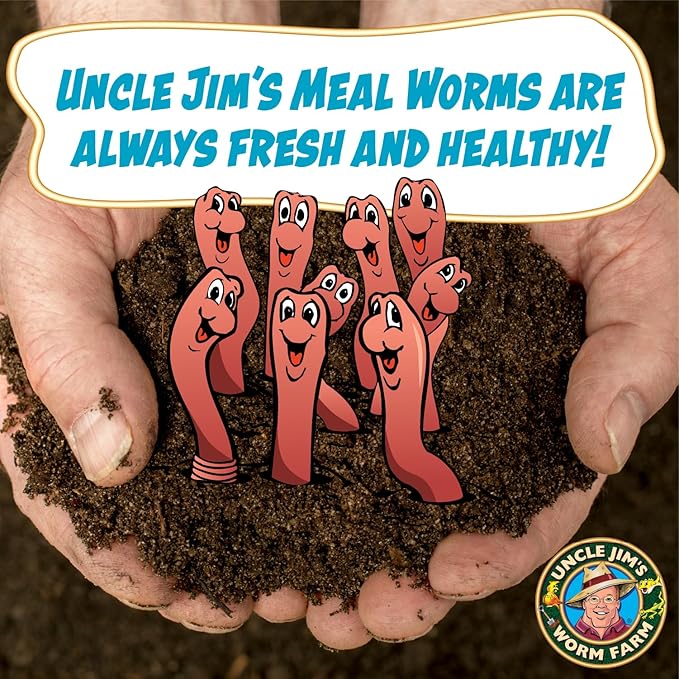 Uncle Jim's Worm Farm 500 Count Mealworms for Reptiles and Chickens | Mealworms for Feeding Lizard, Gecko, Bearded Dragons, Chickens, Birds, and More | Suitable for Fishing Bait