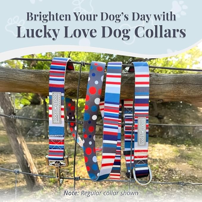 Lucky Love Dog Martingale Dog Collar - Adjustable, No-Slip, Durable, & Soft Webbing Collar for Male and Female Dogs Ideal for Training & Walking - Linus, Large