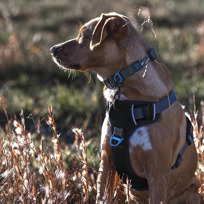 Embark Adventure XL Dog Harness No-Pull for Extra Large Dogs – Reflective, Military-Grade Nylon, Dual Leash Clips, Gel-Lined Handle, Soft & Padded