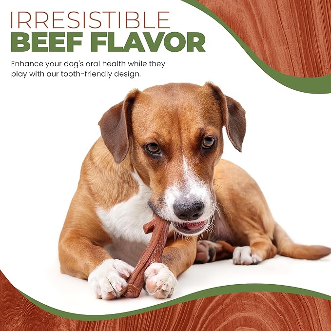 SPOT Bam-Bones Plus Branch -Bamboo Fiber & Nylon, Durable Long Lasting Dog Chew for Aggressive Chewers – Great Toy for Adult Dogs & Teething Puppies Under 90lbs, Non-Splintering, 9.5in, Beef Flavor