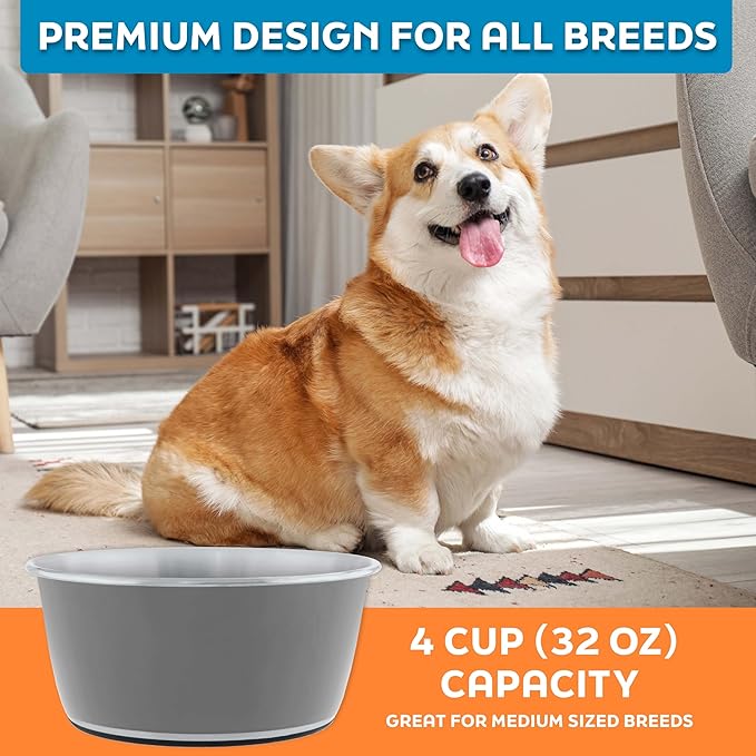 Master Pet Supply Stainless Steel Dog Bowls Set of 2 (32 Oz Each) with Non-Slip Rubber Base - Graphite - Basic Dog Food Bowl Water & Food Bowls for Small Medium Large Dogs & Cats, Metal Dish