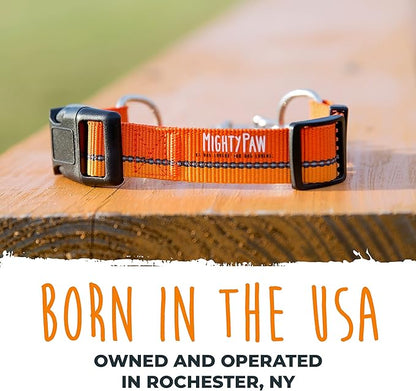Mighty Paw Martingale Dog Collar 2.0 | Trainer Approved Limited Slip Collar with Stainless Steel Chain & Heavy Duty Buckle - Modified Cinch for Gentle & Effective Pet Training - Large, Orange
