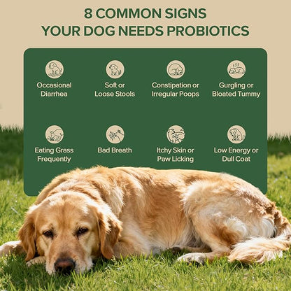 Probiotics for Dogs - Dog Probiotics for Yeast, Itchy Skin and Itchy Ears, Digestive Health, Diarrhea Relief, Gut & Immune Support - with 7 Enzymes, 3 Prebiotics & Omega-3 (Duck 120ct)
