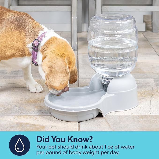 Petmate Aspen Pet Aspen Pet Lebistro Cat and Dog Water Dispenser, Made in USA, 6.75"L x 11.4"W x 11.9"H, 1 Gallon