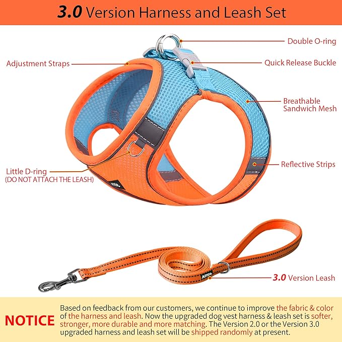AIITLE Comfortable Dog Harness and Leash Set for Walking - Step in Vest Harness,Reflective Bands, Adjustable No Pull Puppy Essentials, for Small Dogs and House Cats Orange XS