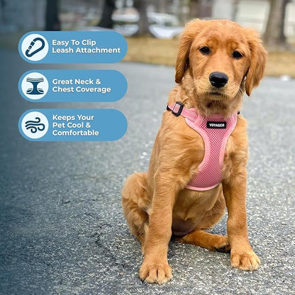 Best Pet Supplies Voyager Adjustable Step-in Flex Breathable Mesh Dog Harness for Small Medium Large Dogs Leash Set (Pink), XS