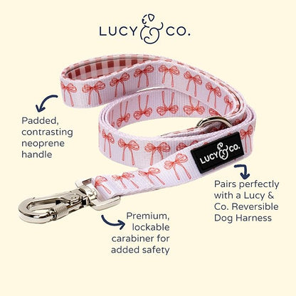 Lucy & Co. Designer Dog Leash - Pet Accessories - Thick Dog Leash - Padded Handle for Comfort - Ballet Bows - 5 Foot (White & Pink Bows, Small)