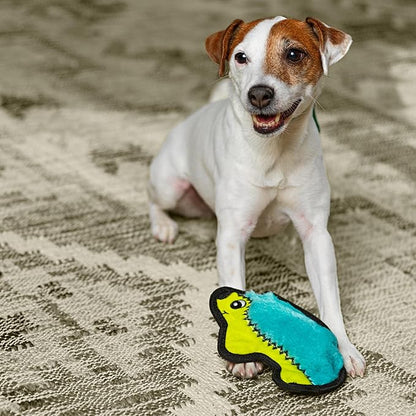 Outward Hound Durablez Minis – Squeaky Plush Dog Toy, No Stuffing for Less Mess, Interactive & Tough, Jumbo Squeaker, Puppies & Small Dogs, Hedgehog, 7"