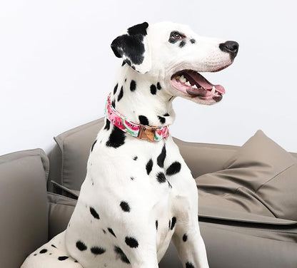 Unique Style Paws Dog Collar Metal Buckle Watermelon Cute Collar for Small Medium Large Dogs