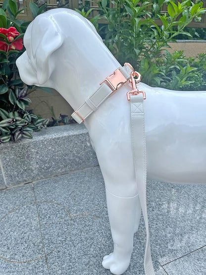 Dog Collar and Leash Set.Soft and Easy to Clean Vegan Leather with Rose Gold Metal Buckle for Small Medium Large Dogs (Off-White, S(12.2"-16.9"))
