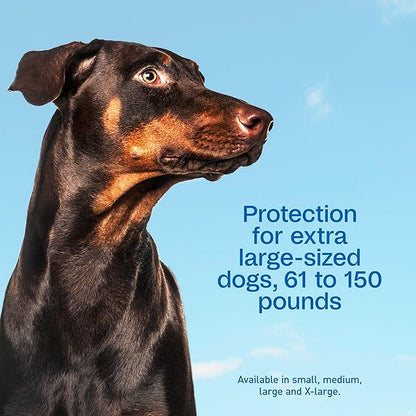 ADAMS Plus Flea & Tick Prevention Spot On for Dogs, Extra Large Dogs, Kills Fleas & Ticks (Brown Dog/Deer Ticks), Kills and Repels Mosquitoes, Prevents Flea Infestations, 3-Month Supply, 3 Pack