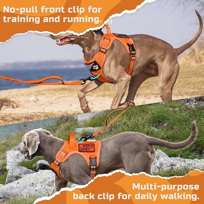 rabbitgoo Tactical Dog Harness for Small Dogs, No Pull Military Service Vest with Handle & Molle, Easy Control for Training Walking, Adjustable Reflective Straps, Orange, S