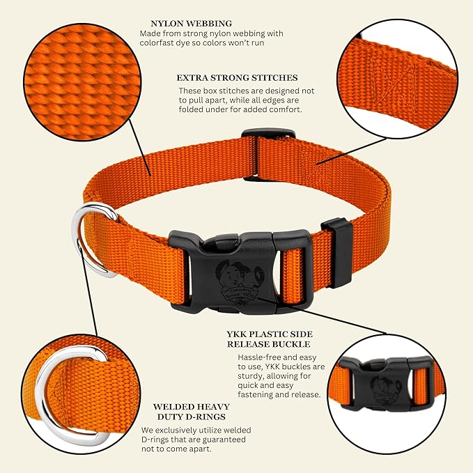 Country Brook Petz - Everyday Nylon Dog Collar for Large, Medium, and Small Dogs and Puppies - for Everyday Use in 10+ Warm Colors (Small, 3/4 Inch Wide, Orange)