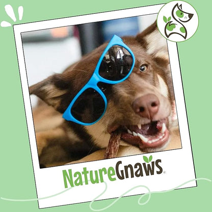 Nature Gnaws Beef Gullet Sticks for Dogs 5-6" (1Lb) - Natural Beef Jerky Stick Dog Chew Treats - Rawhide Free