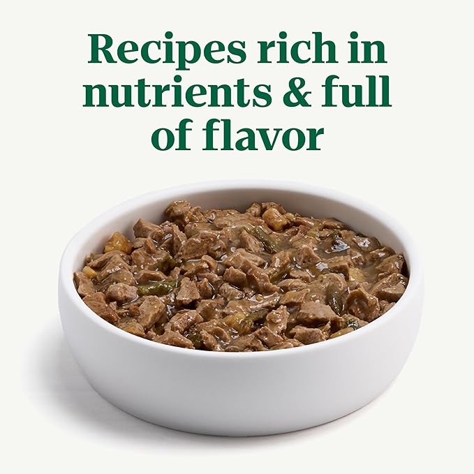 Nutro Hearty Stew Canned Wet Dog Food, Natural Grain Free Dog Food Wet Cuts in Gravy Roasted Turkey with Green Bean & Sweet Potato Stew, 12.5 oz. Cans (12 Count, Pack of 1)