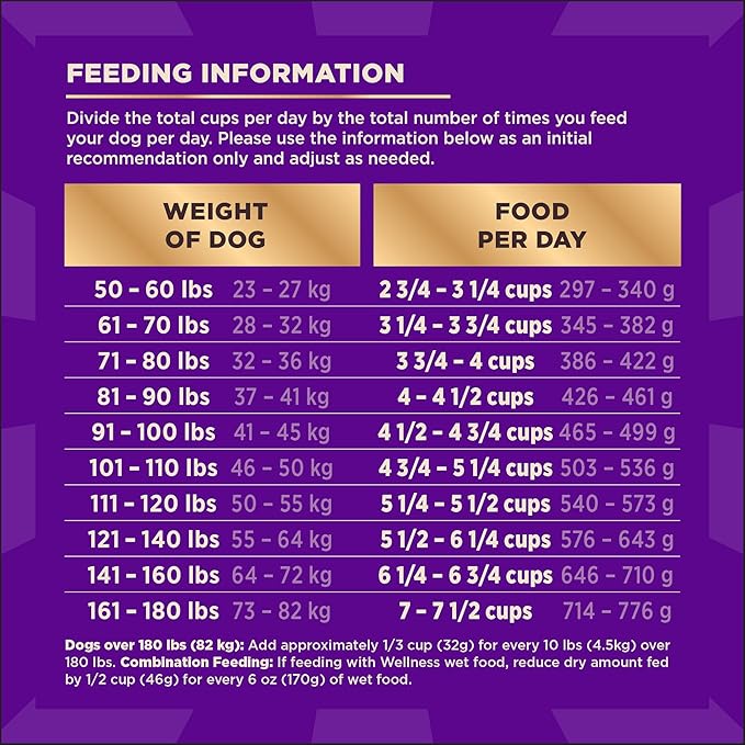 Wellness CORE+ Large Breed Adult Dry Dog Food with Freeze Dried Pieces, Wholesome Grain Kibble+, Natural, High Protein, Chicken and Turkey Recipe, 20 lb Bag