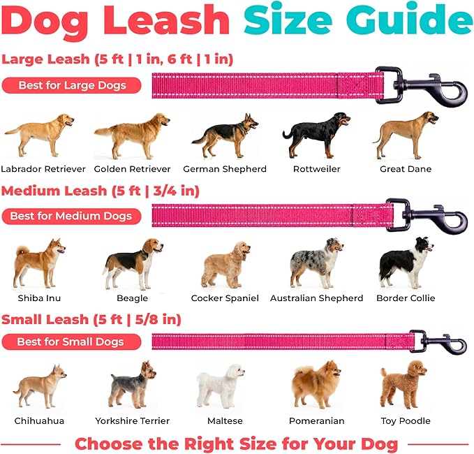 Best Pet Supplies Voyager Reflective Dog Leash or Collar with Neoprene Handle, for Small, Medium, and Large Breed Puppies, Cute and Heavy Duty for Walking, Running and Training - Fuchsia (Leash), L