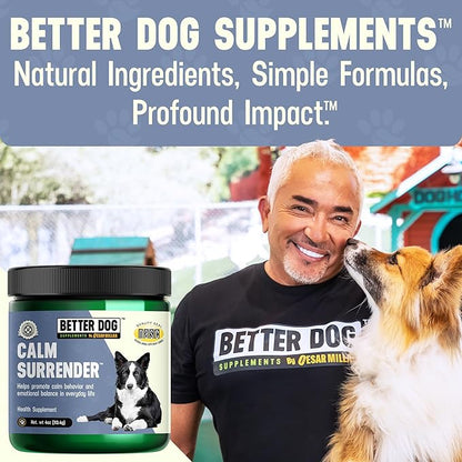 Better Dog Supplements Calm Surrender by Cesar Millan – Natural Dog Calming Powder for Stress, Anxiety, Grooming, Travel & Thunderstorms – Catnip, Chamomile & Valerian – 4oz, (60-Day Supply)